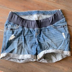 Maternity Shorts